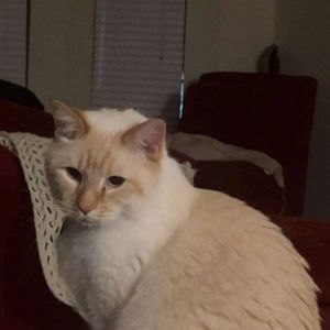 Meet your Posher, James